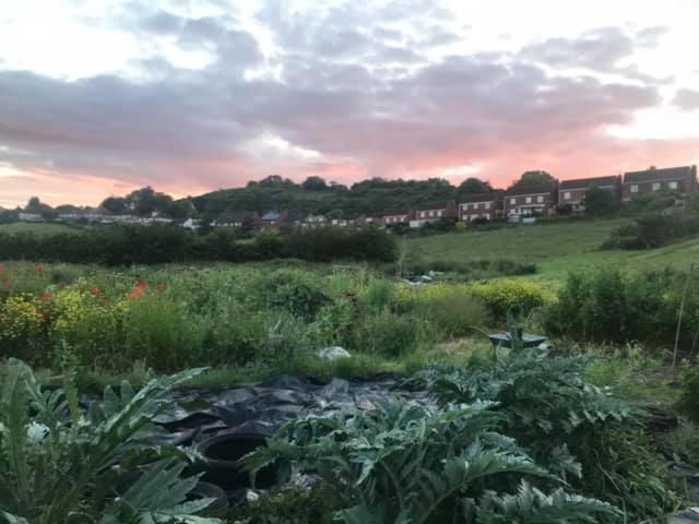 Healing Waters Sanctuary For Exclusive Private Hire And Self Catering Board, Vegetarian, Alcohol & Wifi Free Retreat In Glastonbury Eksteriør billede