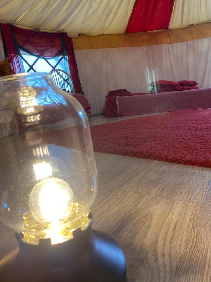 Healing Waters Sanctuary For Exclusive Private Hire And Self Catering Board, Vegetarian, Alcohol & Wifi Free Retreat In Glastonbury Eksteriør billede