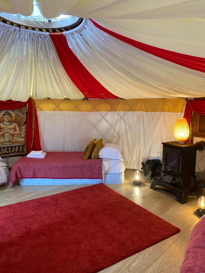 Healing Waters Sanctuary For Exclusive Private Hire And Self Catering Board, Vegetarian, Alcohol & Wifi Free Retreat In Glastonbury Eksteriør billede