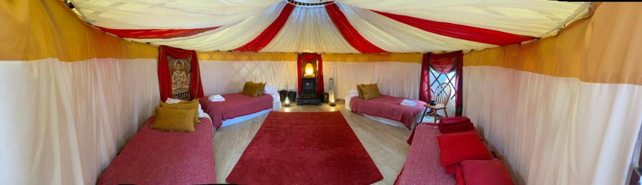 Healing Waters Sanctuary For Exclusive Private Hire And Self Catering Board, Vegetarian, Alcohol & Wifi Free Retreat In Glastonbury Eksteriør billede
