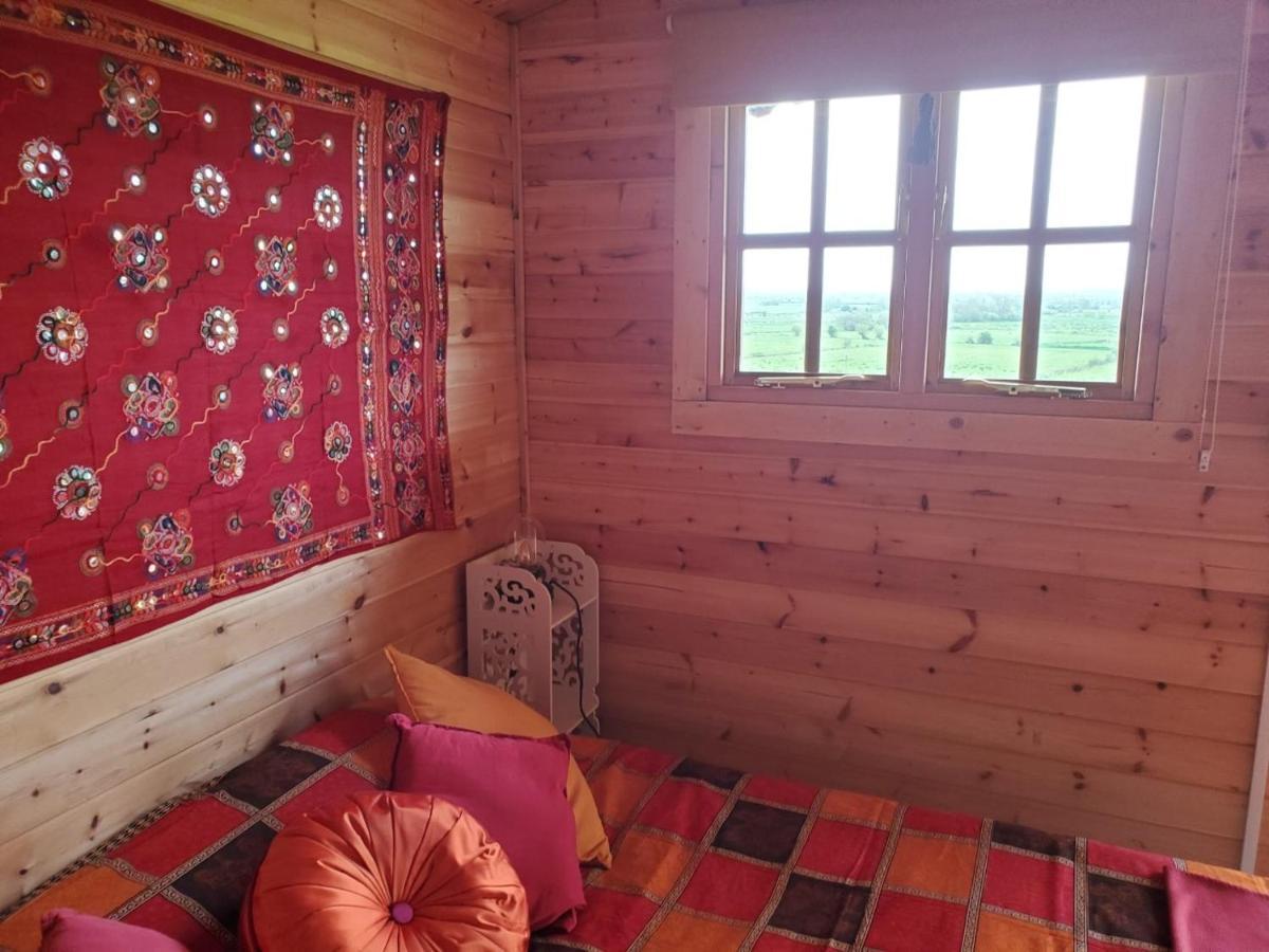 Healing Waters Sanctuary For Exclusive Private Hire And Self Catering Board, Vegetarian, Alcohol & Wifi Free Retreat In Glastonbury Eksteriør billede